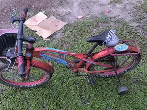 ভালো একটা বাইসাইকেল। ৮ থেকে ১২ বছরের বাচ্চাদের