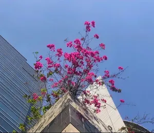 Unique Trade Centre, Panthapath Commercial Space for Sale