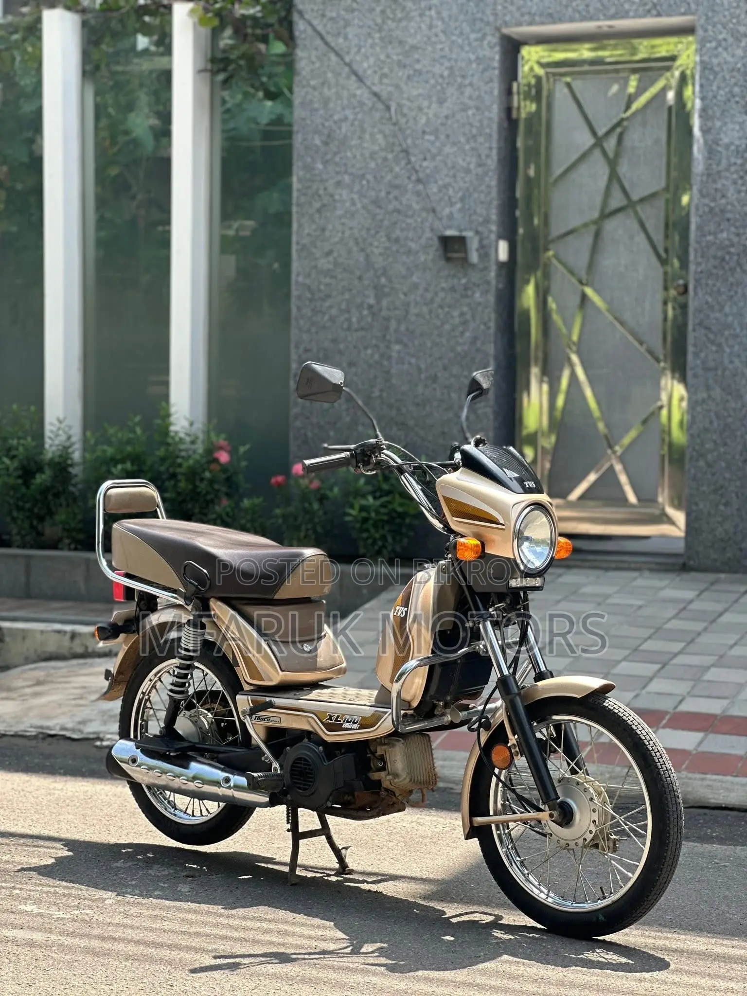 TVS XL 100 2023 Gold