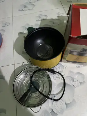 মিনি রাইস কুকার