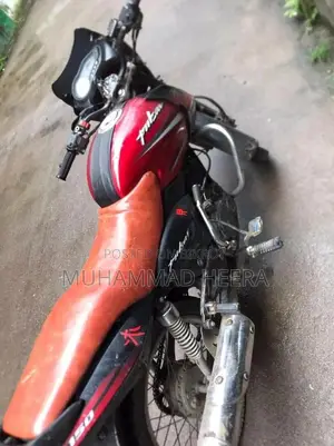 বাজাজ পালসার ১৫০ ২০১০ রেড