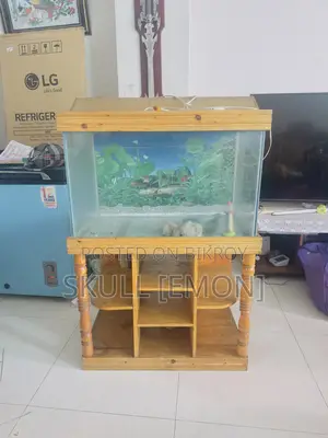 Aquarium