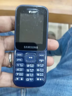 নতুন স্যামসাং গুরু মিউজিক ২ নীল