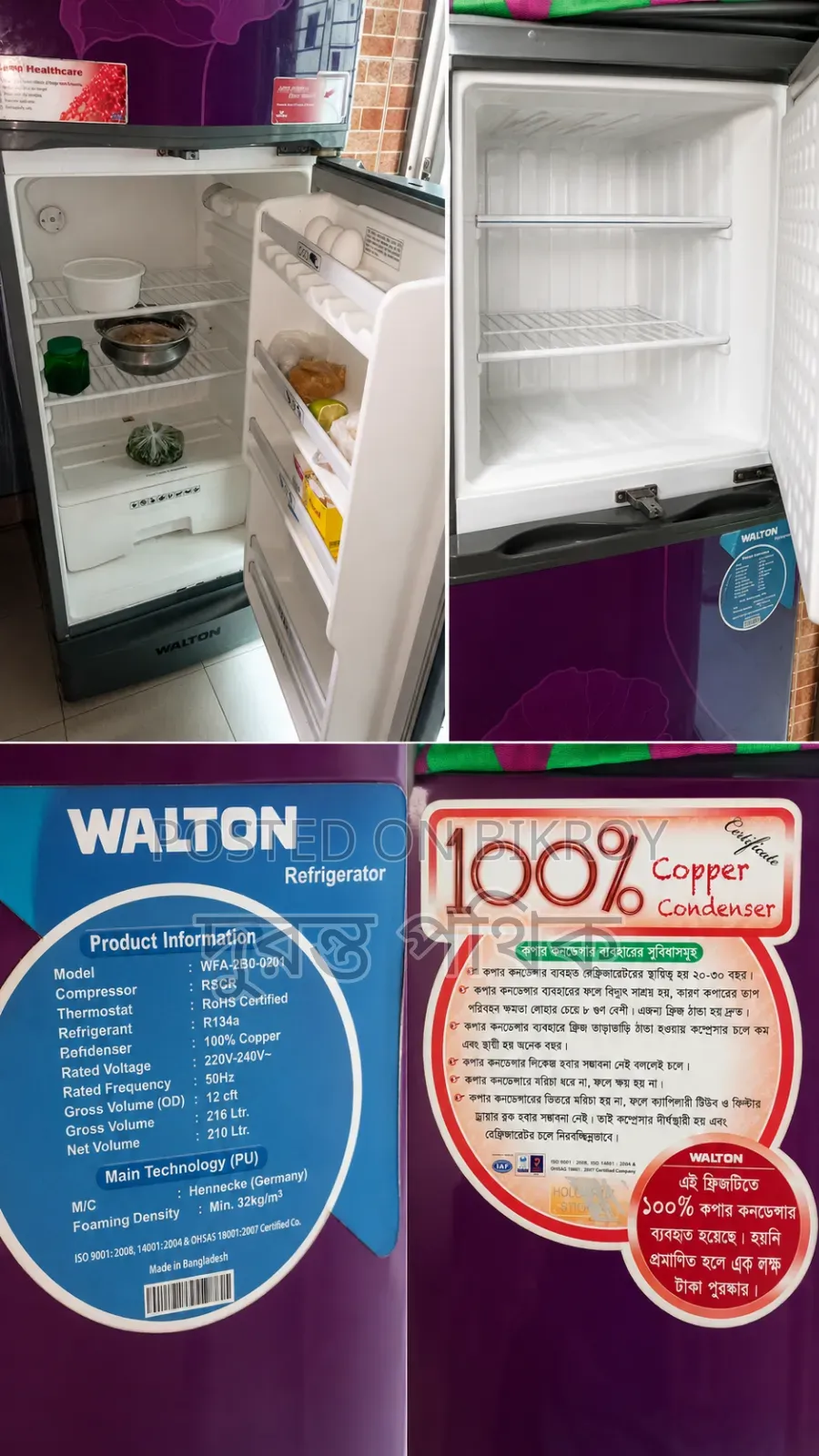 Walton Frizz