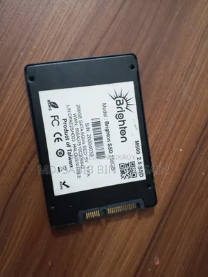 Brighton 256GB SSD