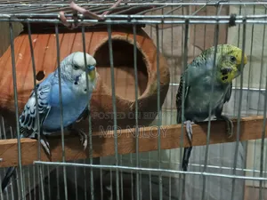 সময় দিতে না পারার কারণ এ সেল দিয়া হবে