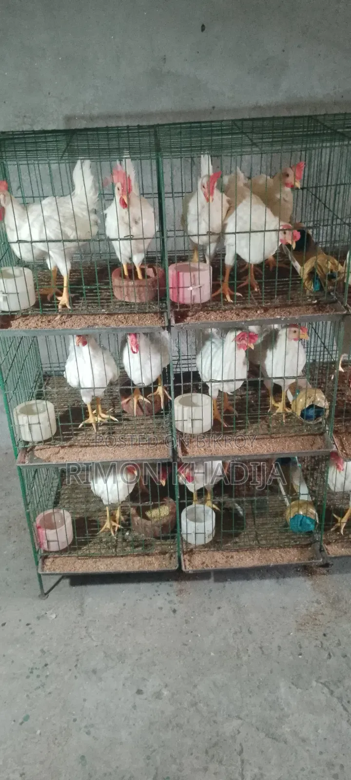 Agricultural Products