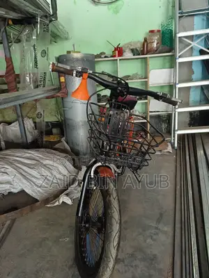 বাচ্চাদের বাইসাইকেল