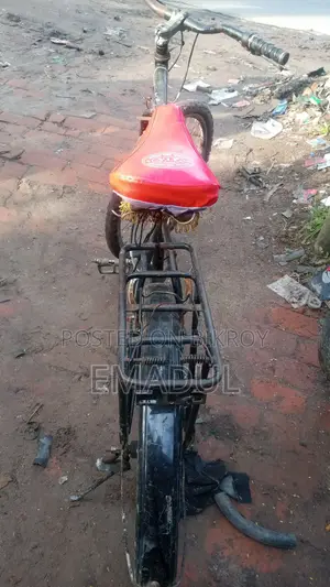 দুরন্ত বাই সাইকেল