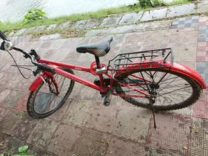 Prince Cycle Fresh