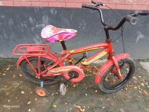 Children's 16 Cycle