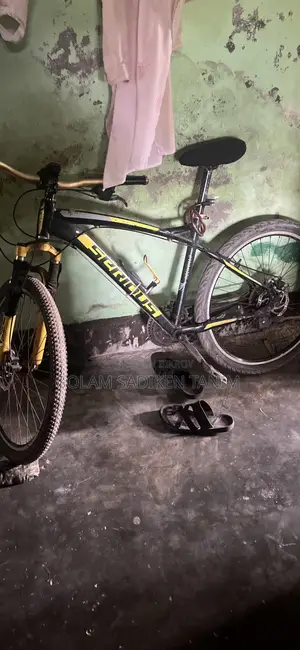 সিরিয়াস সাইকেল