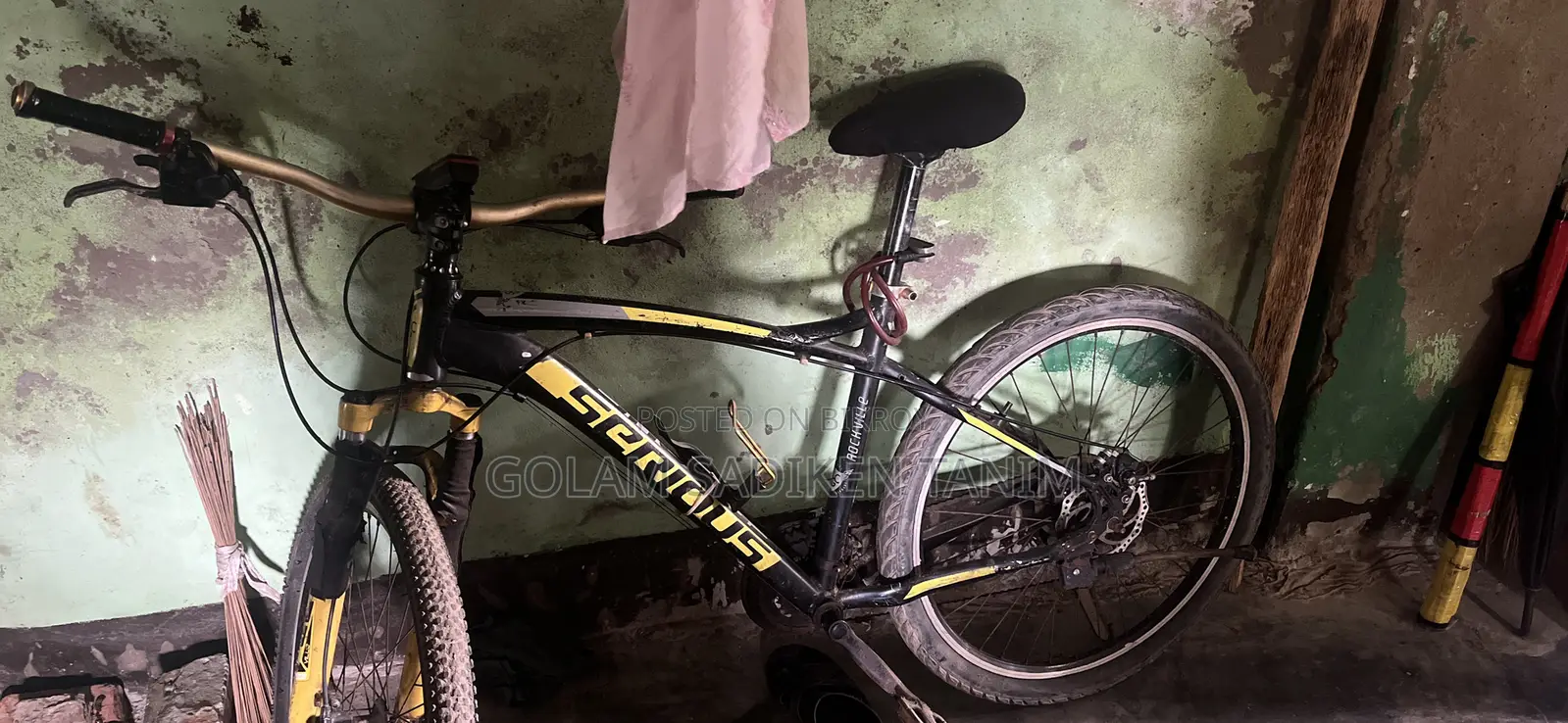 সিরিয়াস সাইকেল