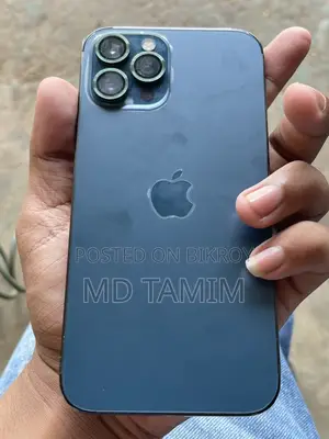 Apple iPhone 12 Pro Max 256 GB Blue