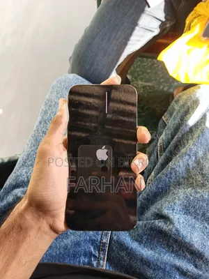 অ্যাপল আইফোন ১২ প্রো ম্যাক্স ২৫৬ জিবি গ্রে