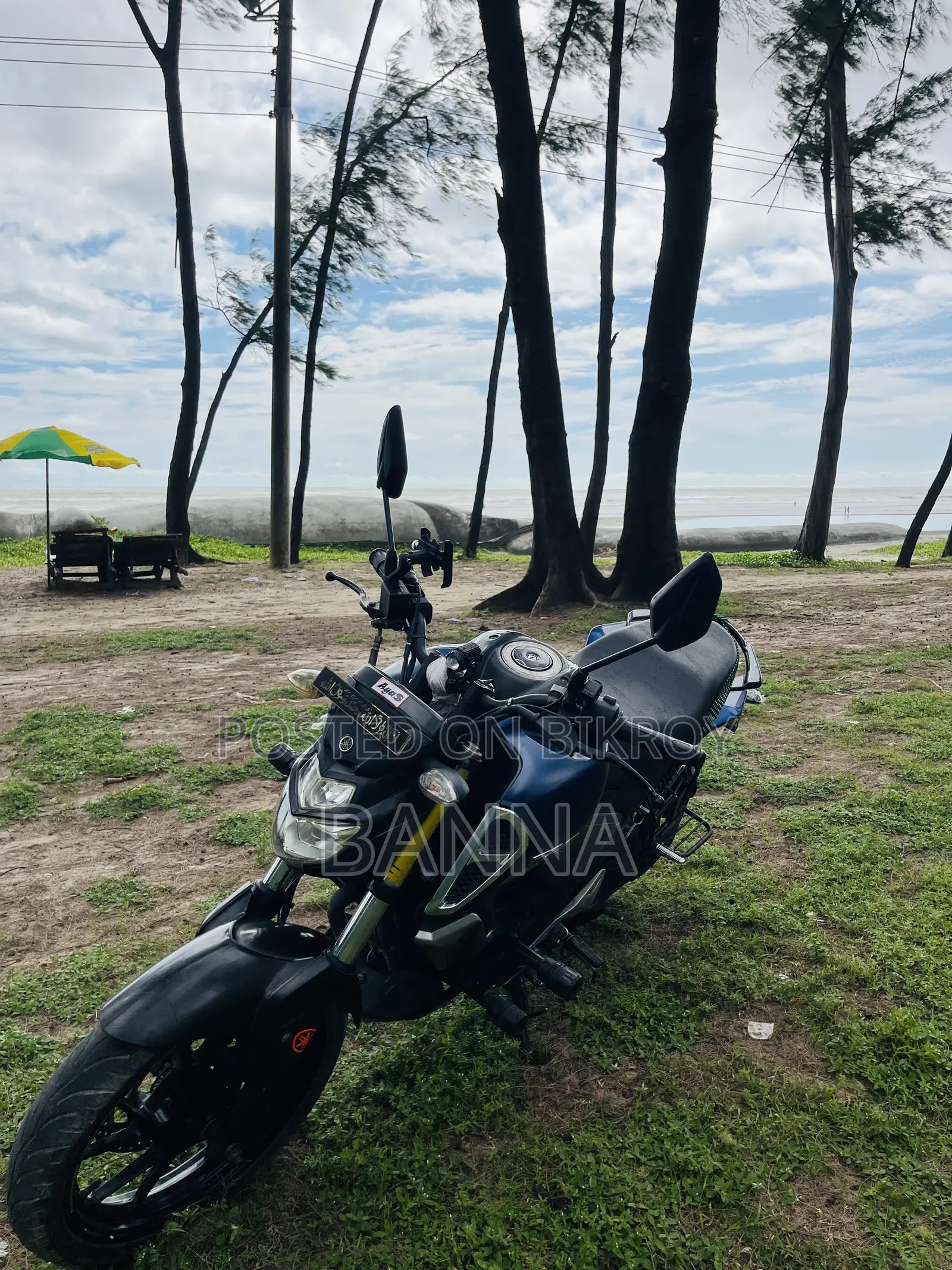 Yamaha FZS V3 2020 Blue