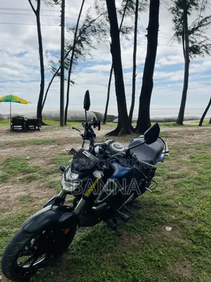 Yamaha FZS V3 2020 Blue