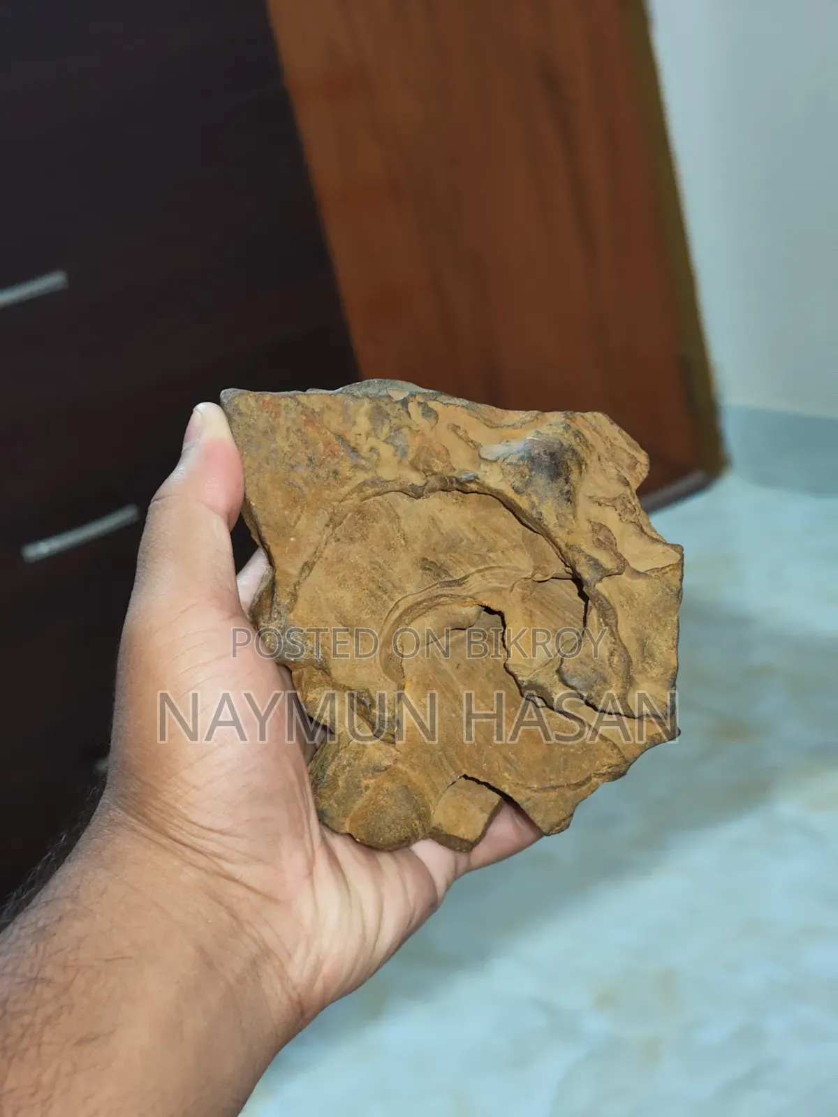 Antic Aquarium Rock