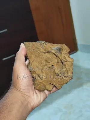 Antic Aquarium Rock