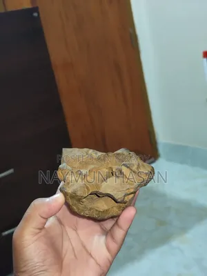 Antic Aquarium Rock