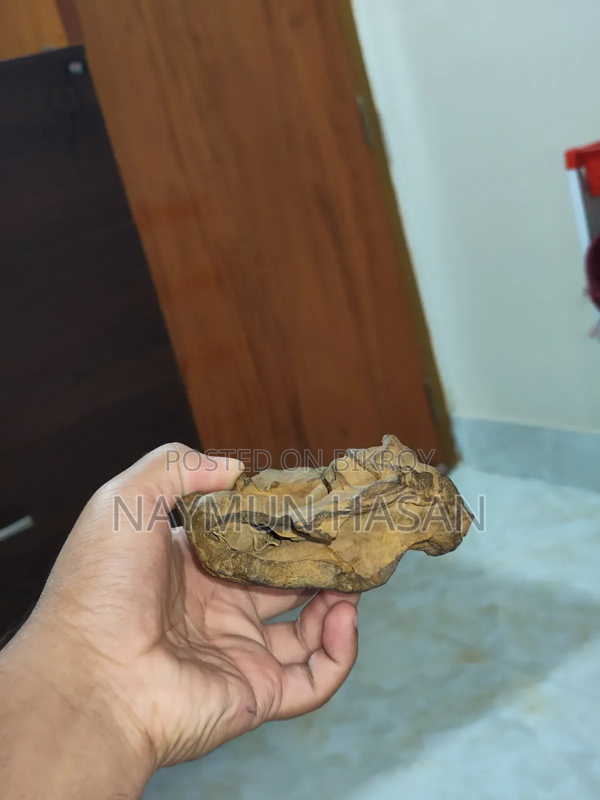Antic Aquarium Rock