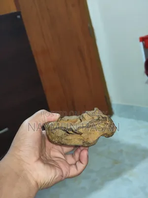 Antic Aquarium Rock