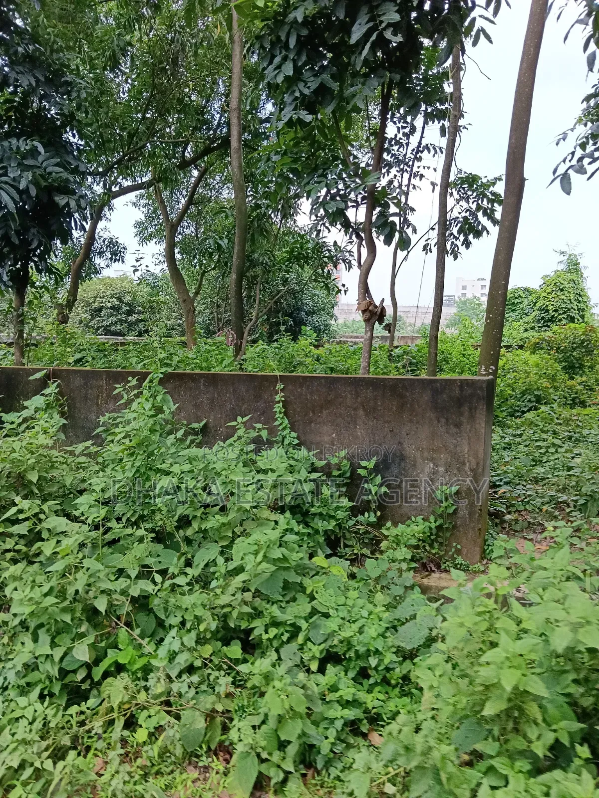 বসুন্ধরা ব্লক-এম, ১০ কাঠা দক্ষিণমুখী প্লট বিক্রয়