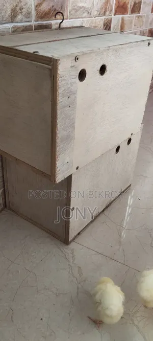 পাখির ব্রিডিং বক্স