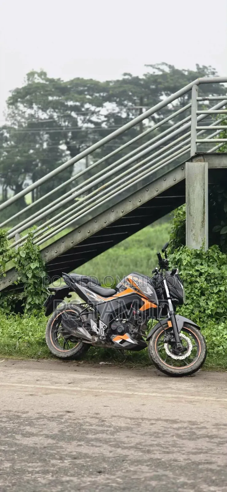 হোন্ডা হর্নেট ২০১৯