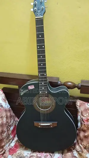 Brand New Signature S265 Guitar for Sale (with 1.5 Years Warranty)