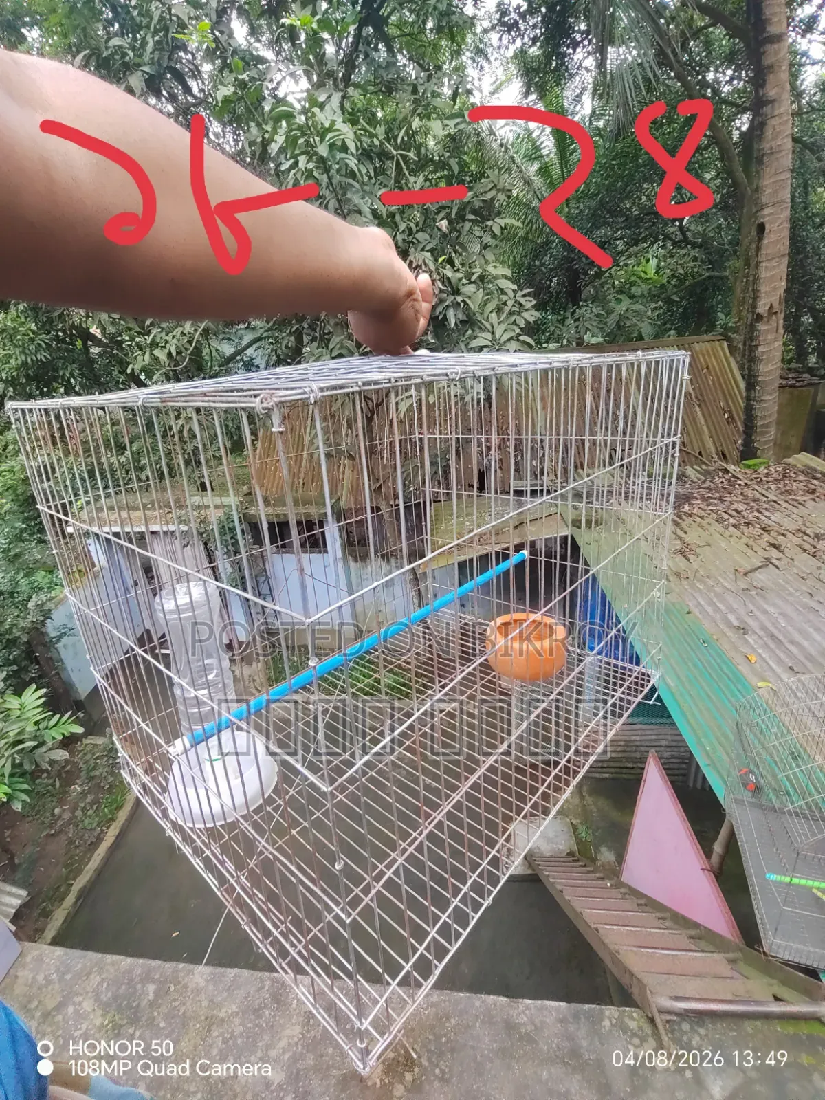 পাখির খাঁচা
