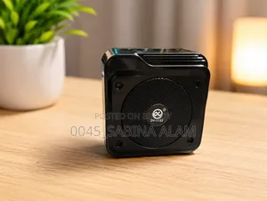 Mini Portable Speaker