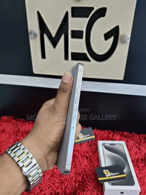 অ্যাসল আইফোন ১৫ প্রো ম্যাক্স ২৫৬ জিবি সিলভার