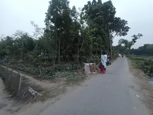 Land for Sale with Road Access