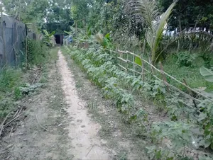 Land for Sale with Road Access