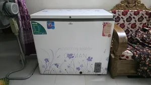 Walton Deep Freeze