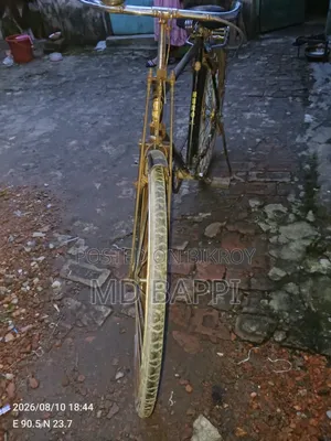 বাইসাইকেল ফর সেল