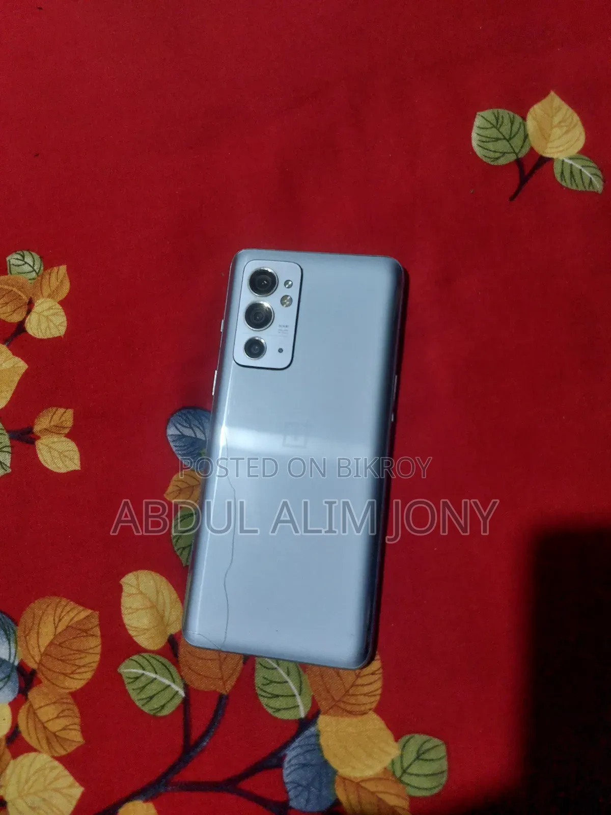 Mobile Phone 256 GB Silver