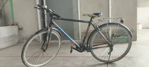 Prince চিকন টায়ারের রানিং সাইকেল
