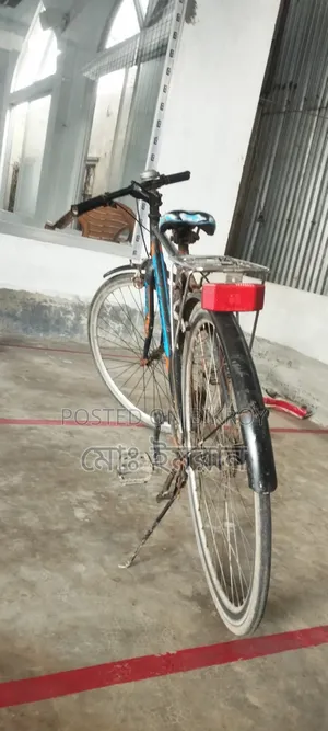 Prince চিকন টায়ারের রানিং সাইকেল
