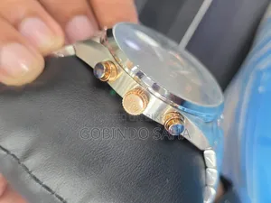 Boss ( Hugo Boss Champion Chronograph) Model Number