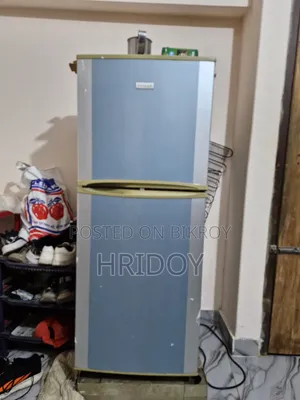 Singer Refrigerator and Kitchen Rack