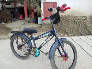 বাচ্চাদের বাইসাইকেল
