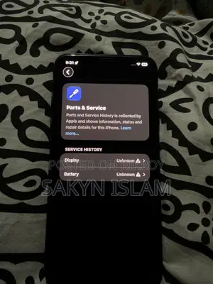 Apple iPhone 11 Pro Max 256 GB Black