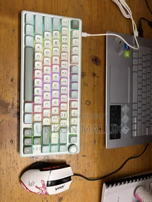 Royal Kludge R75 (Keyboard) and Bloody L65 Max NARAKA (Mouse)