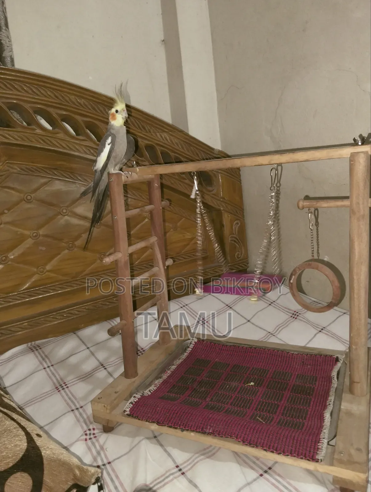 হাফ টেম গ্রে ককটেল