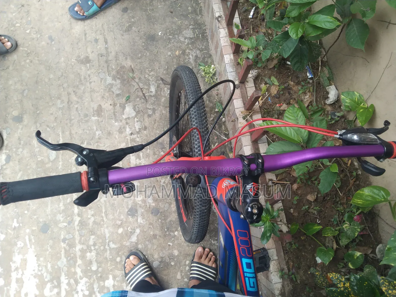 By Cycle Full Fresh
