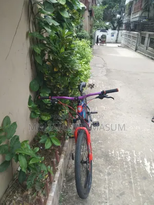 By Cycle Full Fresh