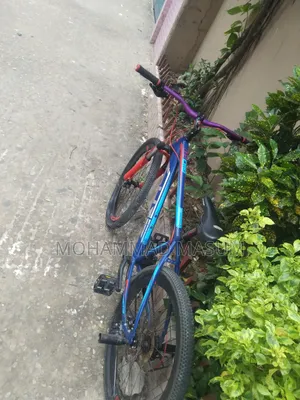 By Cycle Full Fresh