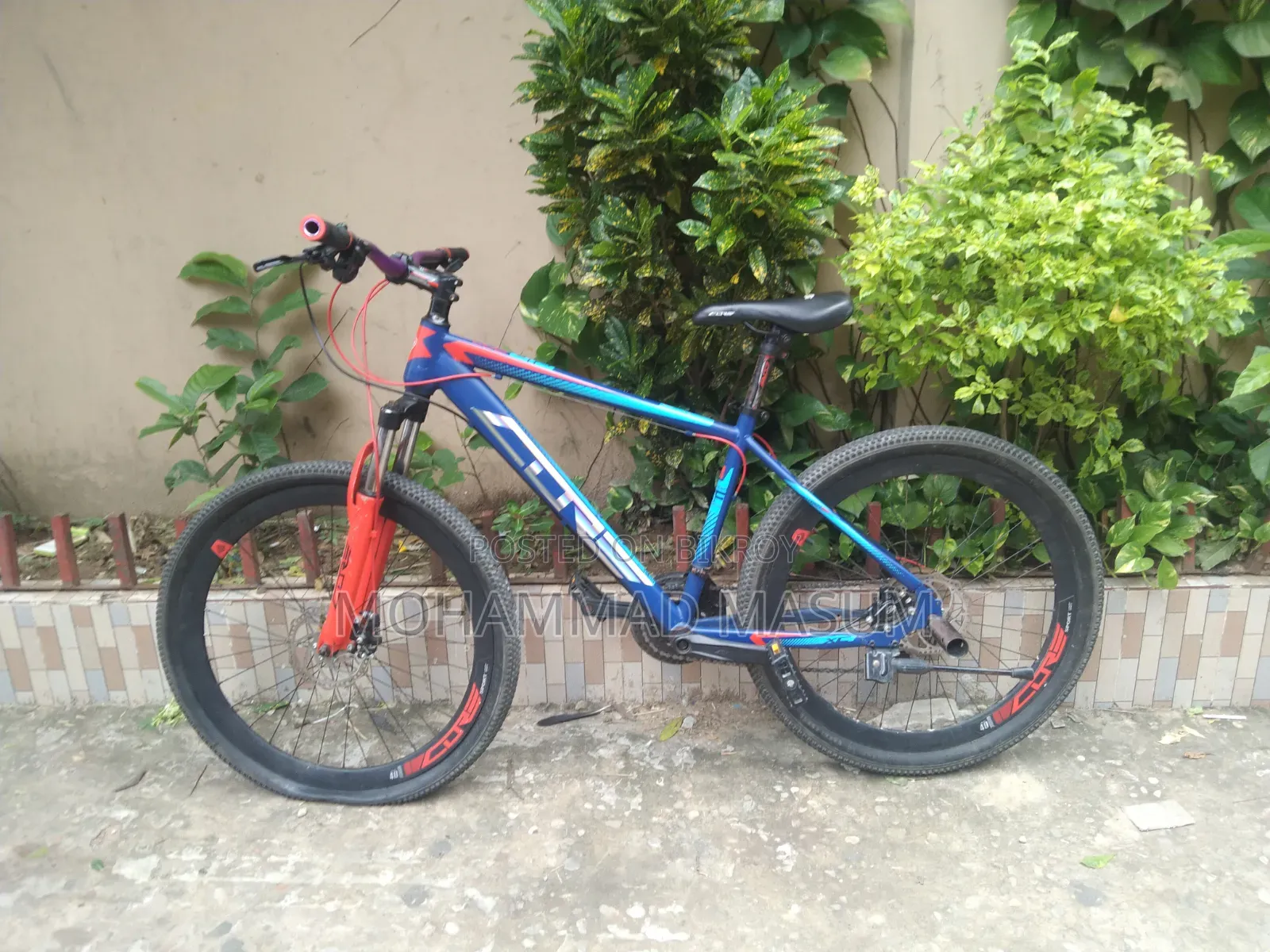 By Cycle Full Fresh
